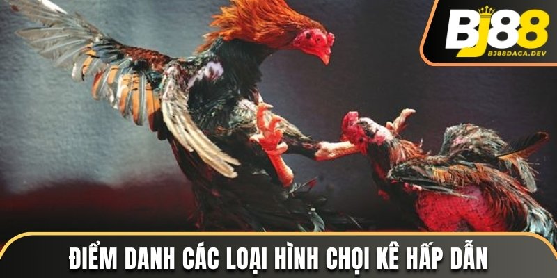 Điểm danh các loại hình chọi kê hấp dẫn