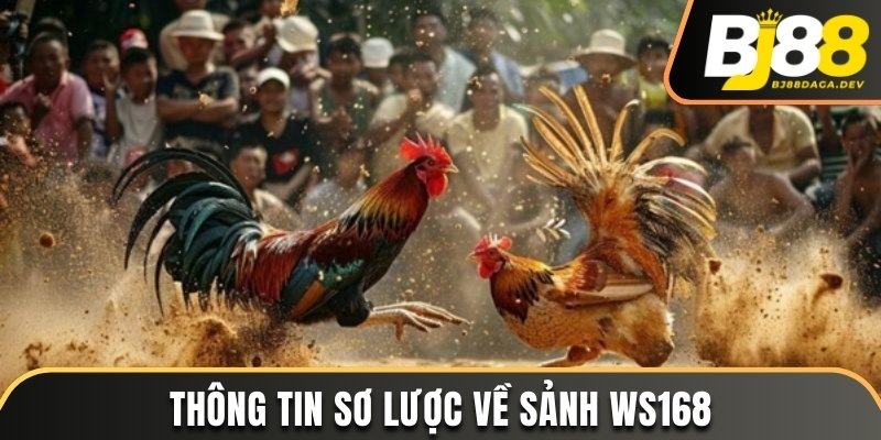 Thông tin sơ lược về sảnh WS168