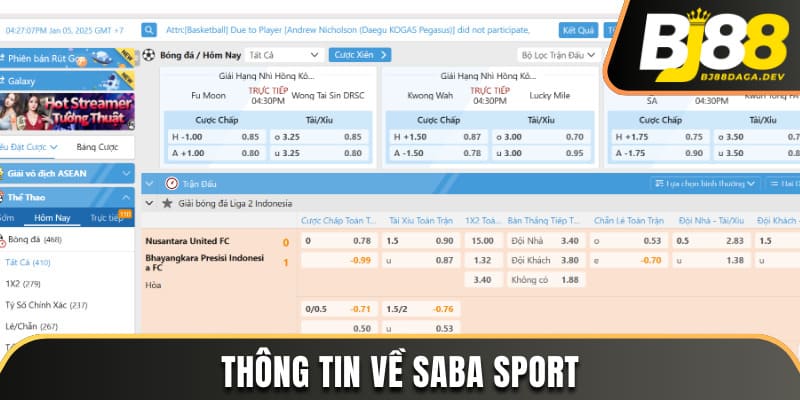 Thông tin về Saba Sport