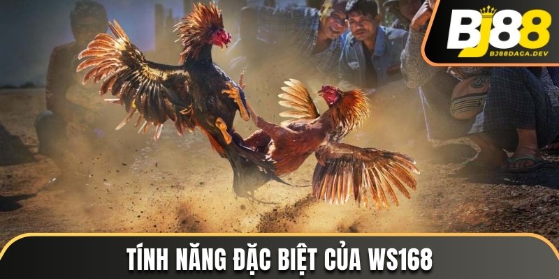 Tính năng đặc biệt của Ws168